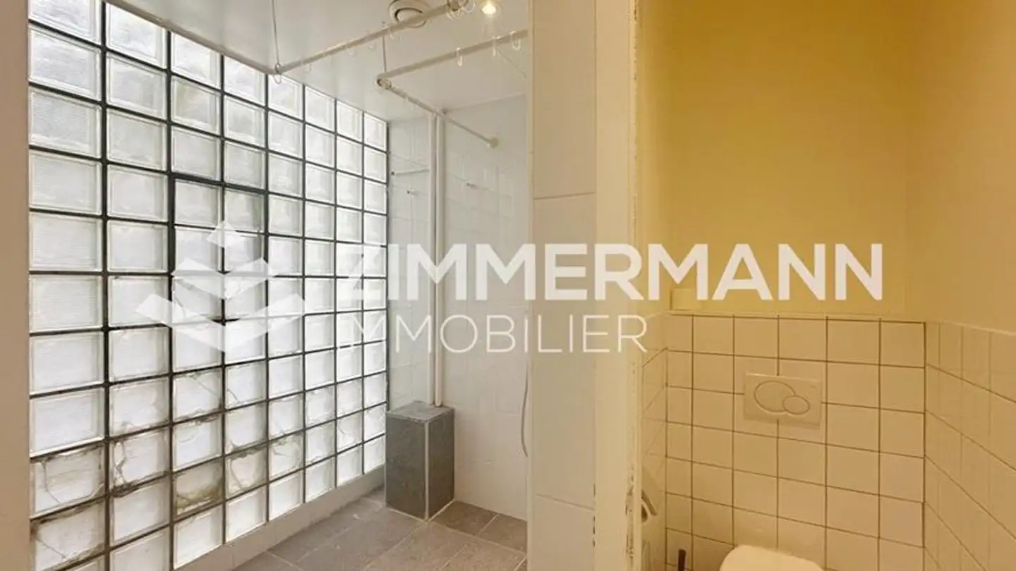 Negozio in affitto - Rue De La Ferme, 1205 Genève