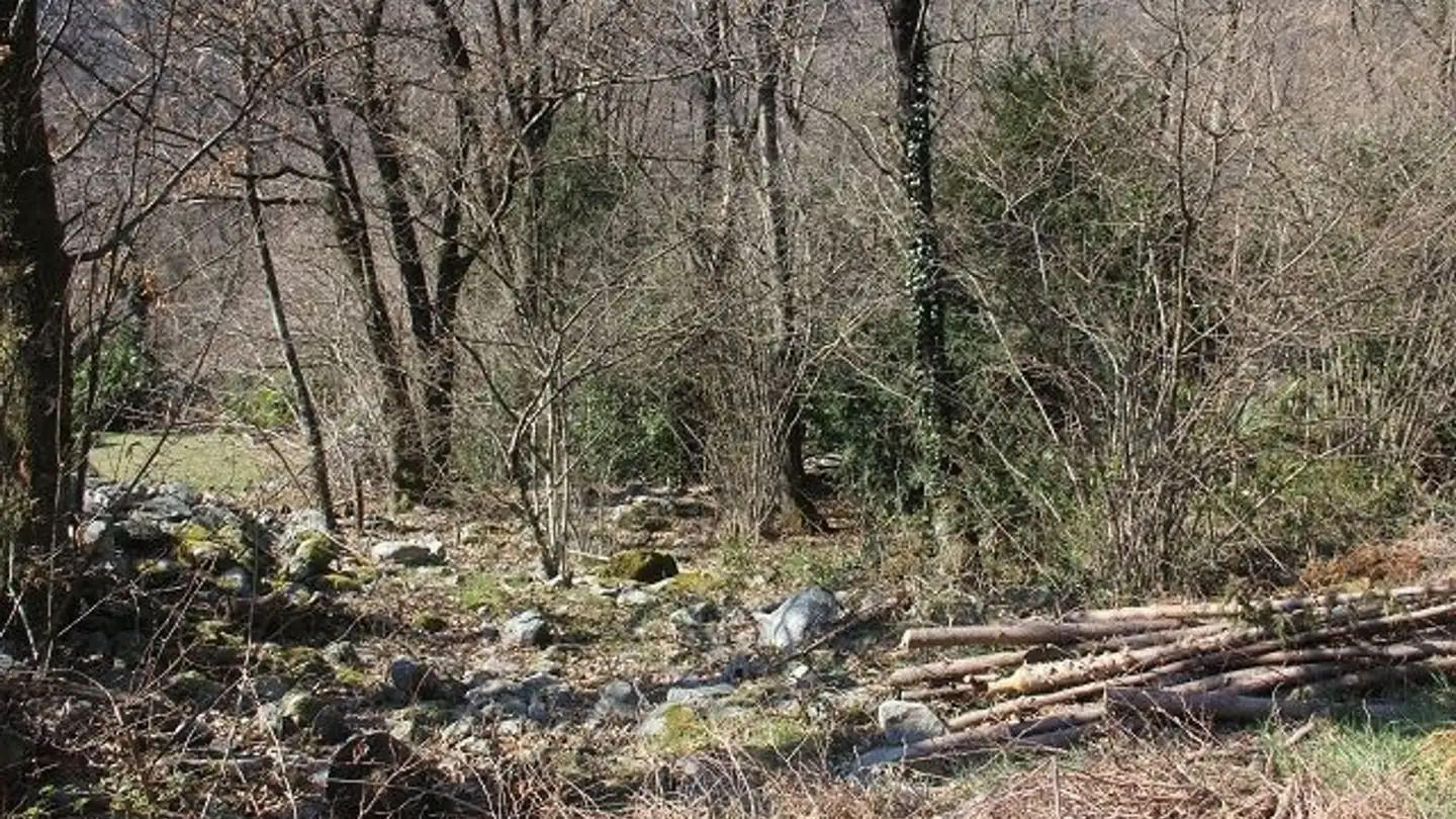 Terreno edificabile in vendita - 6670 Avegno - Photo 4