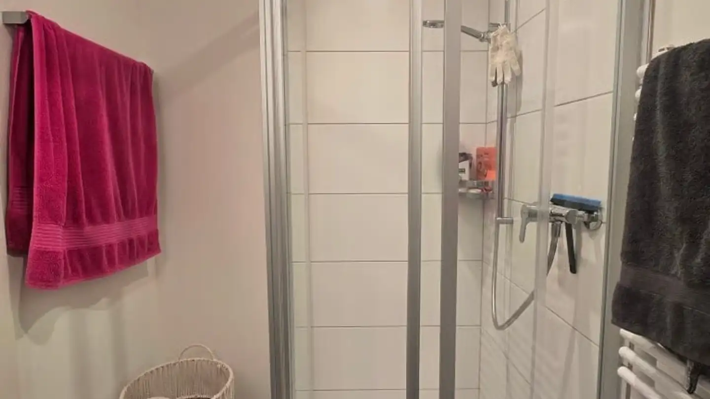 Appartamento in affitto - Hirtenbündtenweg 2, 4102 Binningen - Foto 4
