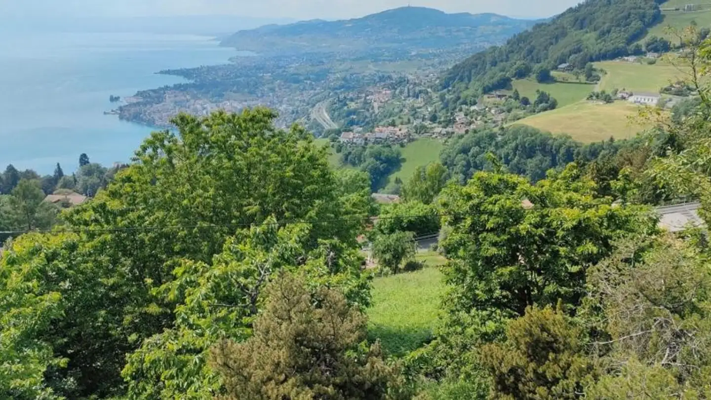Constructible plot for sale - 1823 Glion - Photo 4