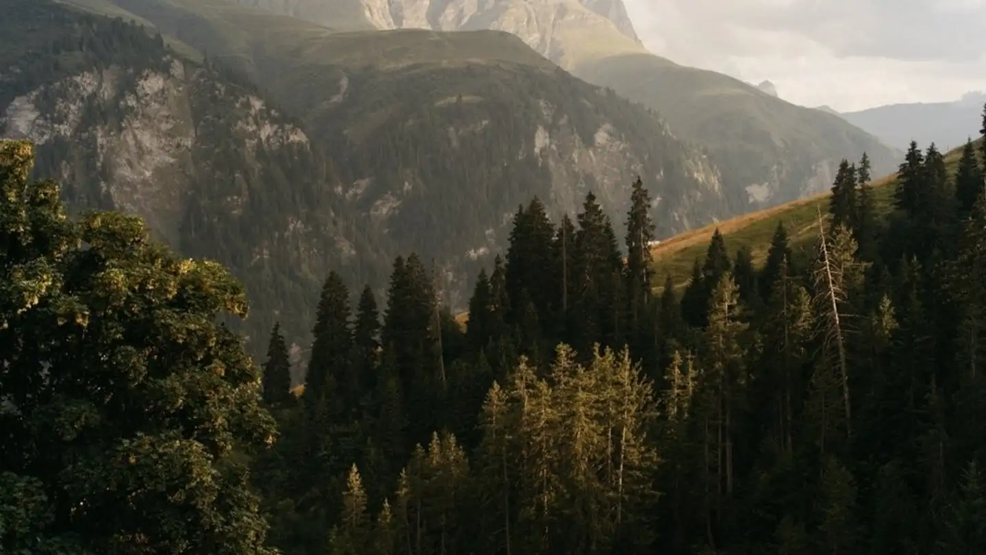 Einfamilienhaus mieten - Bruschgaleschg 9, 7107 Safien Platz - Foto 3