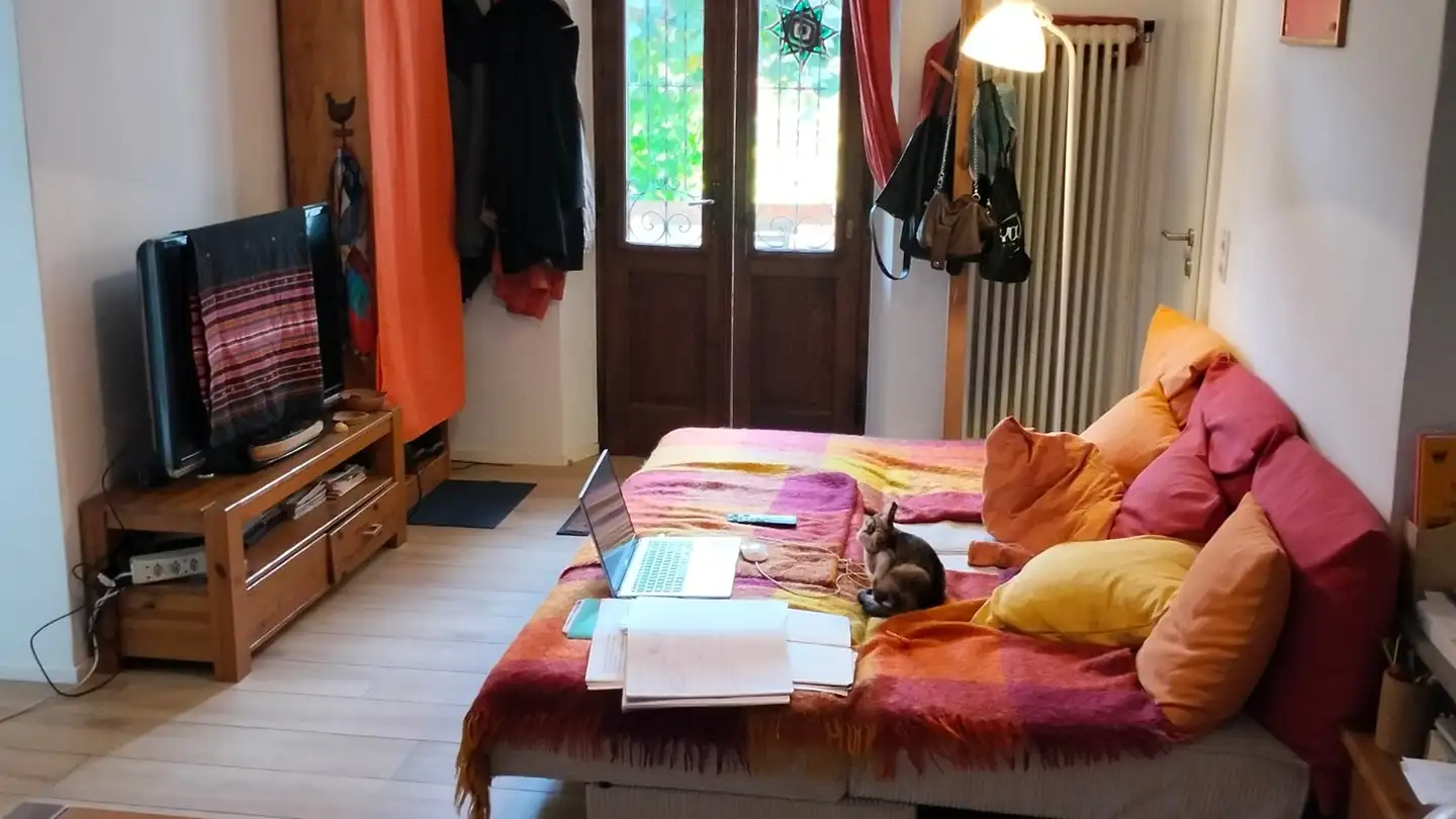 Casa singola in affitto - Via Sirana 7, 6814 Lamone - Photo 3