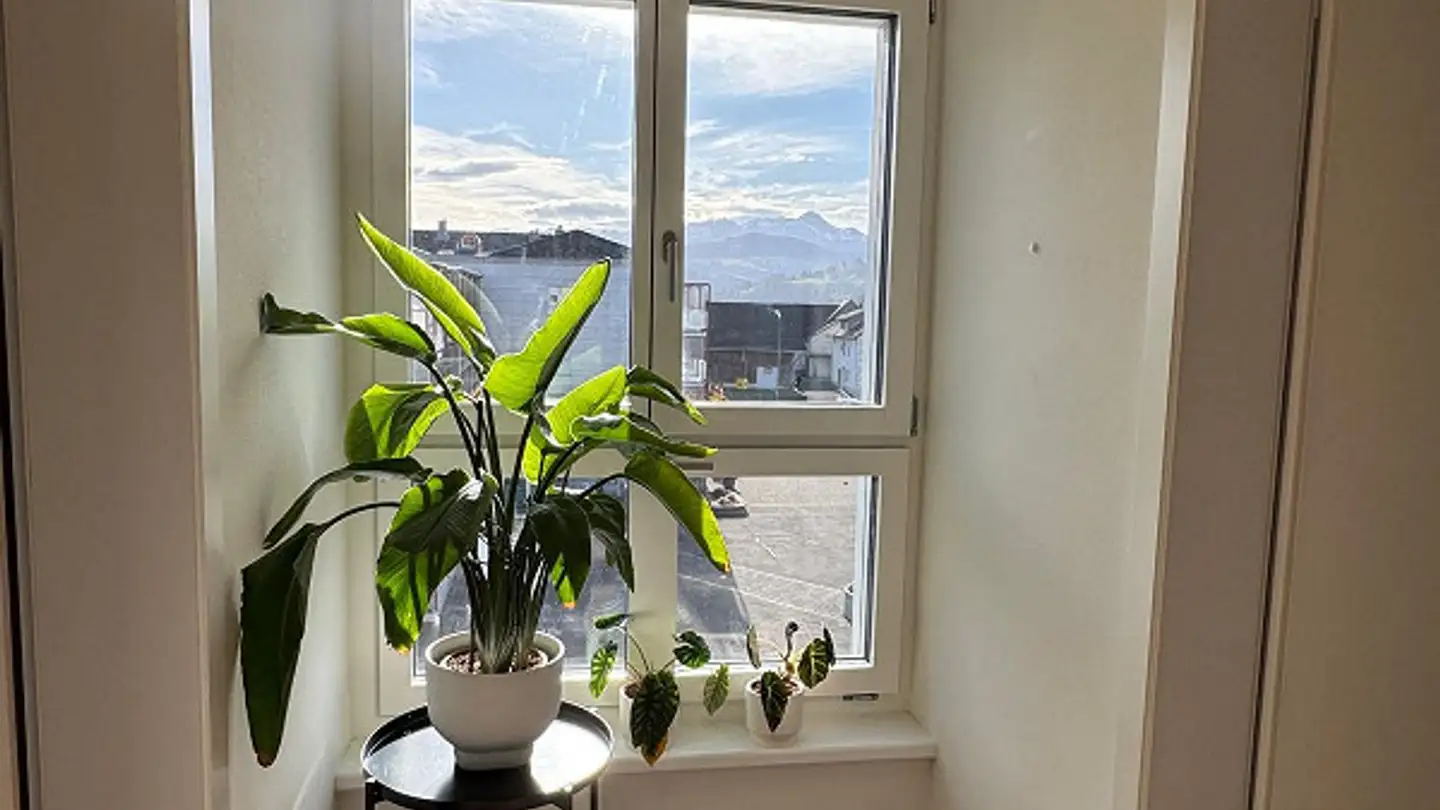 Appartamento in affitto - Auwiesenstrasse 26, 9030 Abtwil SG