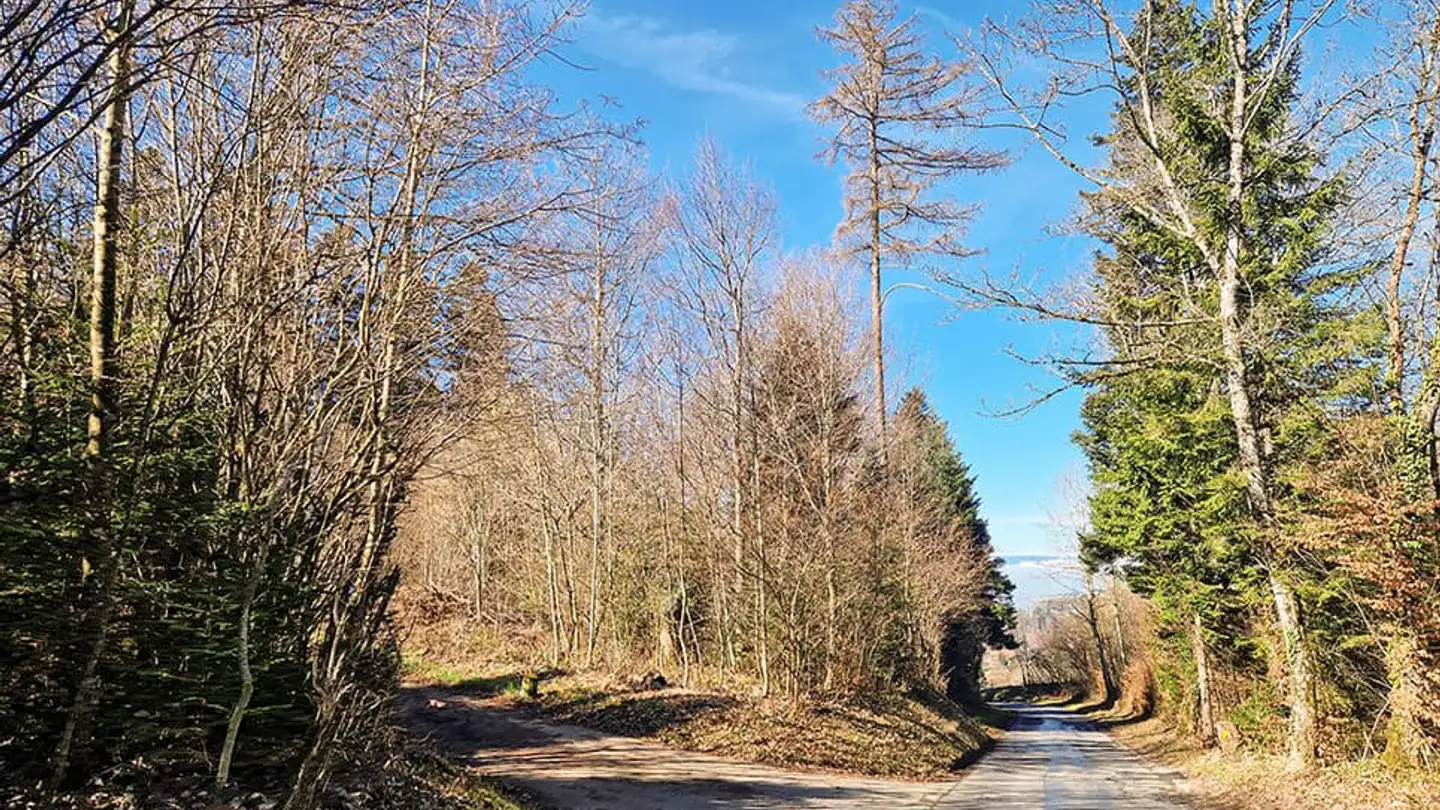 Einfamilienhaus kaufen - 1092 Belmont-sur-Lausanne - Foto 3