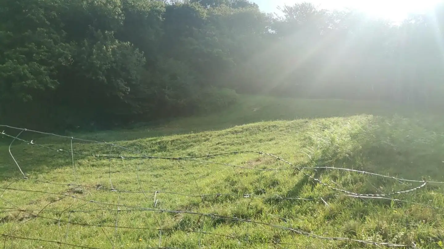 Terrain constructible à vendre - 6838 Muggio - Photo 4