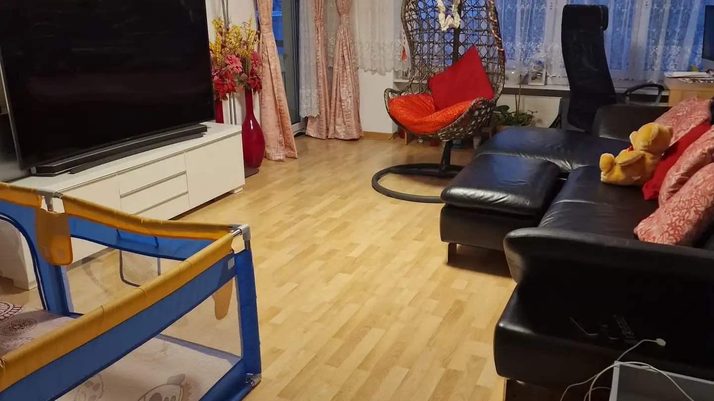 Appartamento in affitto - Zimmerberg 15, 8222 Beringen - Foto 4