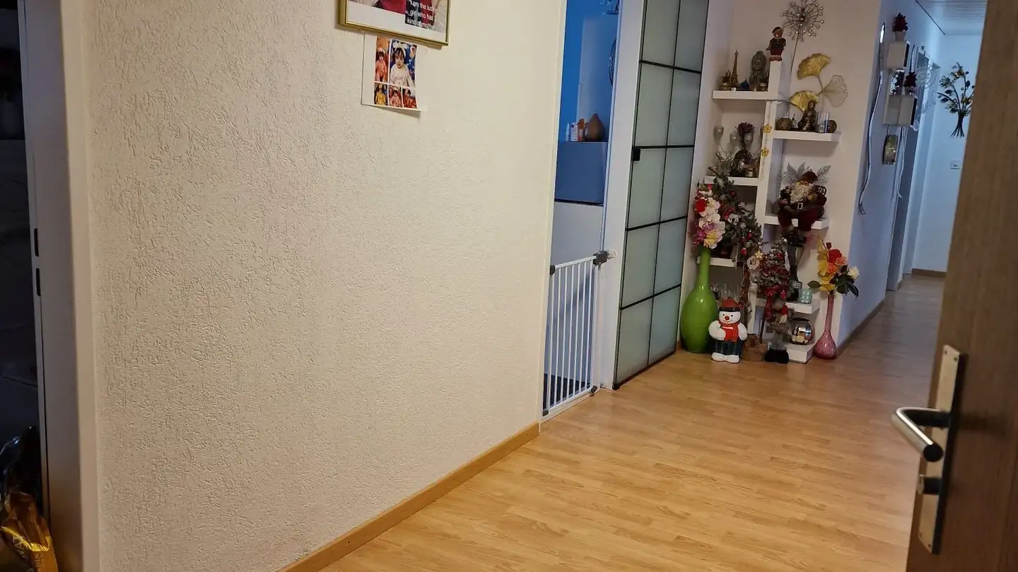 Appartamento in affitto - Zimmerberg 15, 8222 Beringen