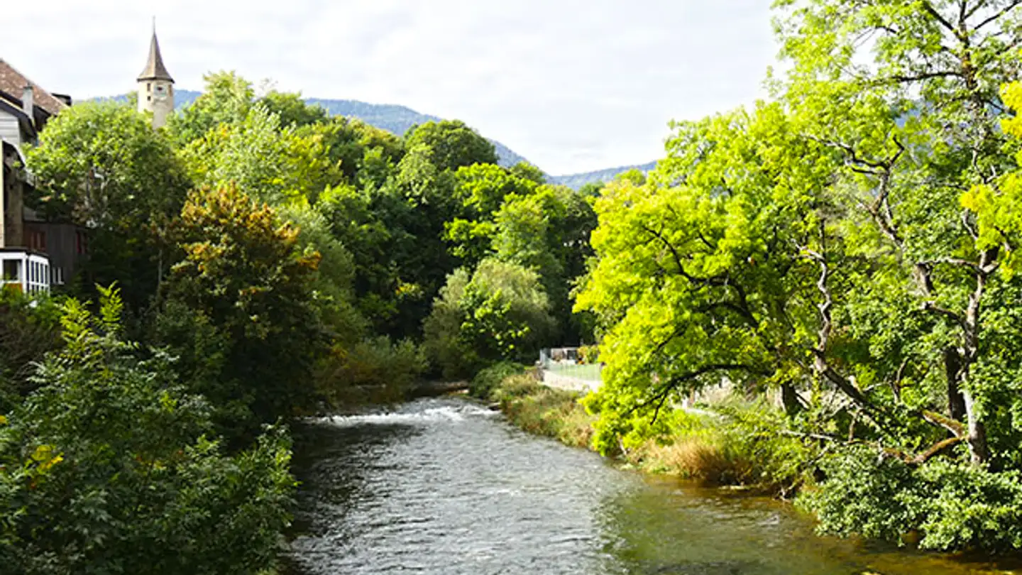 Casa singola in vendita - 2017 Boudry