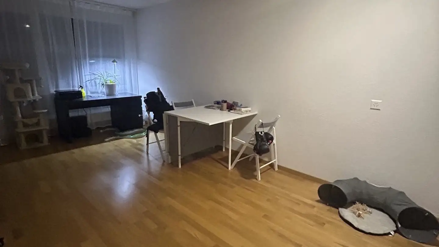 Appartamento in affitto - Fabrikstrasse 29b, 3012 Bern