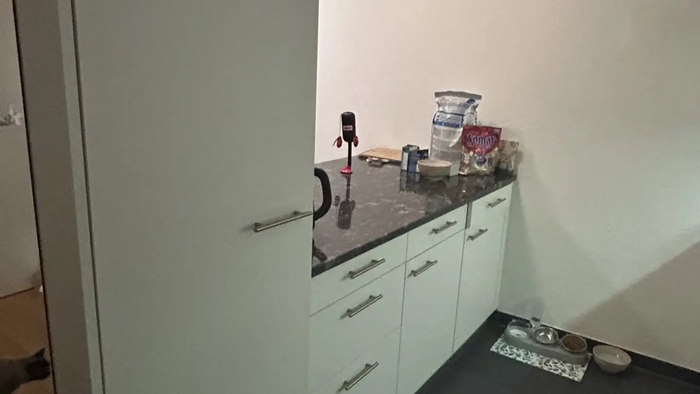 Wohnung mieten - Fabrikstrasse 29b, 3012 Bern - Foto 3