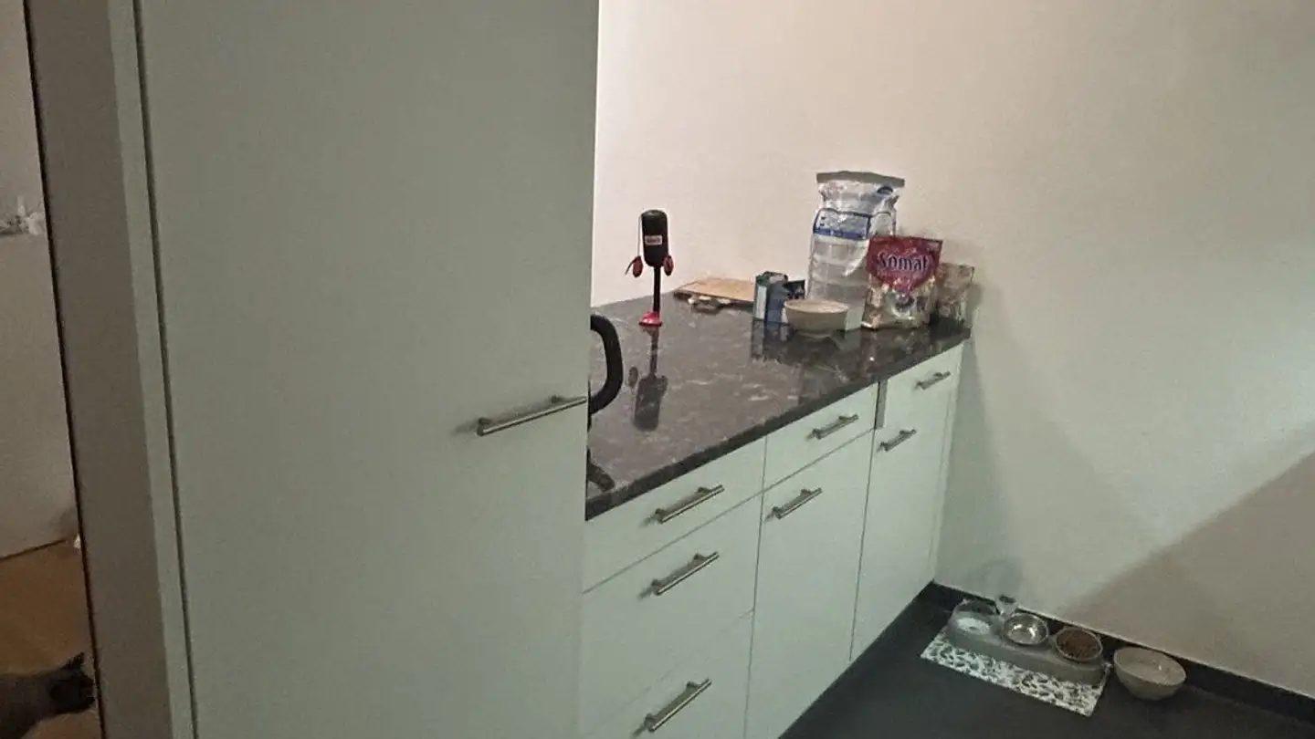 Appartamento in affitto - Fabrikstrasse 29b, 3012 Bern - Foto 3