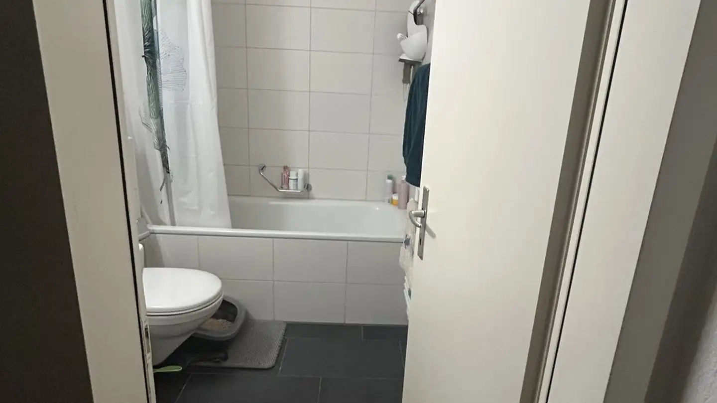 Wohnung mieten - Fabrikstrasse 29b, 3012 Bern - Foto 4