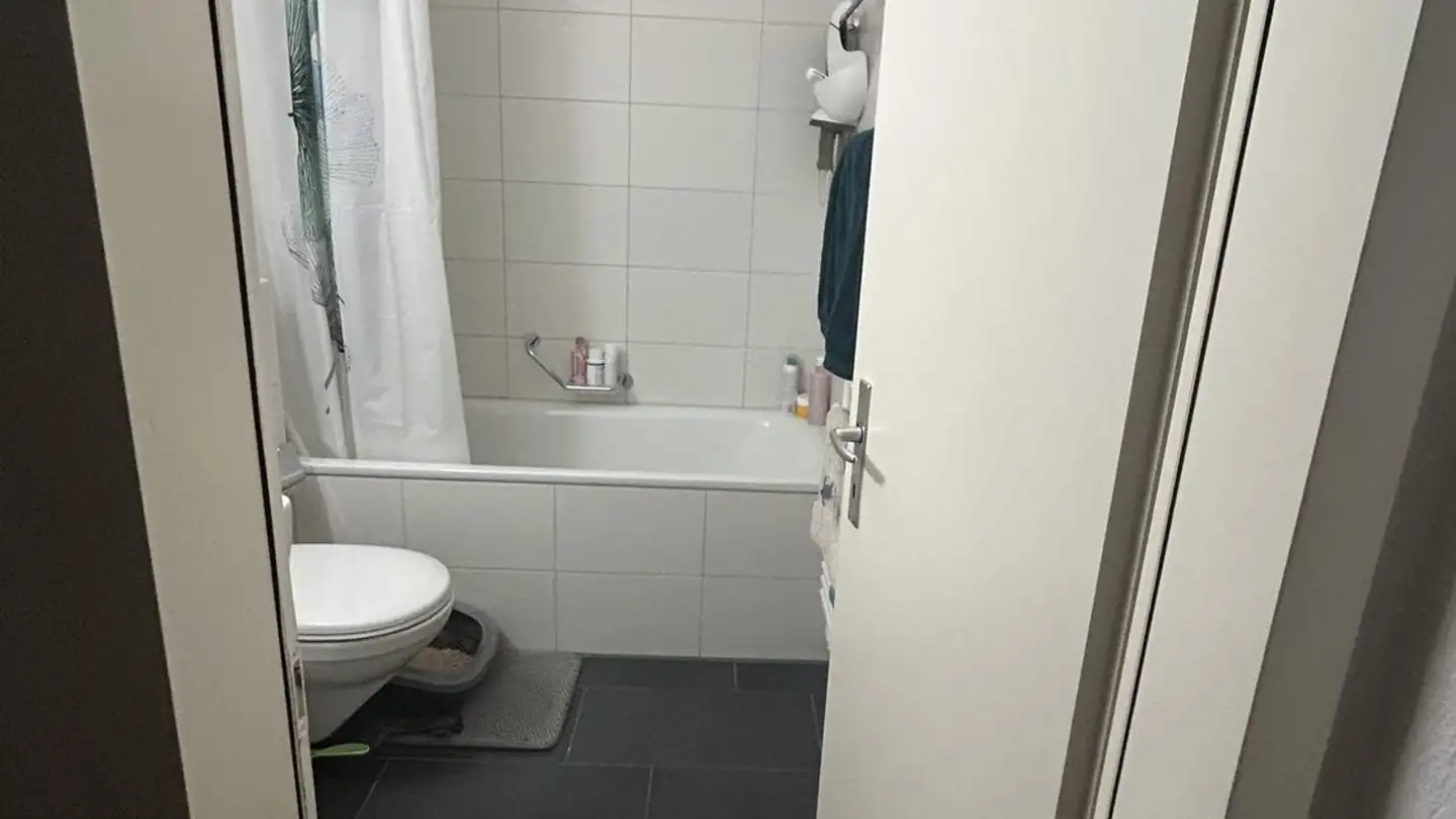Appartamento in affitto - Fabrikstrasse 29b, 3012 Bern - Foto 4