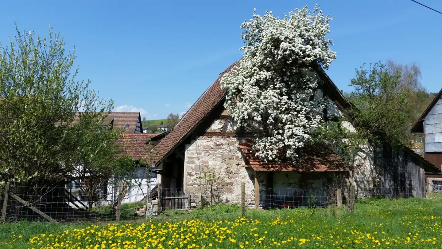 Farm for sale - 8226 Schleitheim - Photo 3