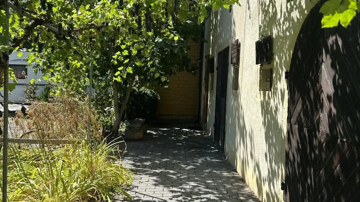 Appartement à louer - Dammweg 18, 5314 Kleindöttingen