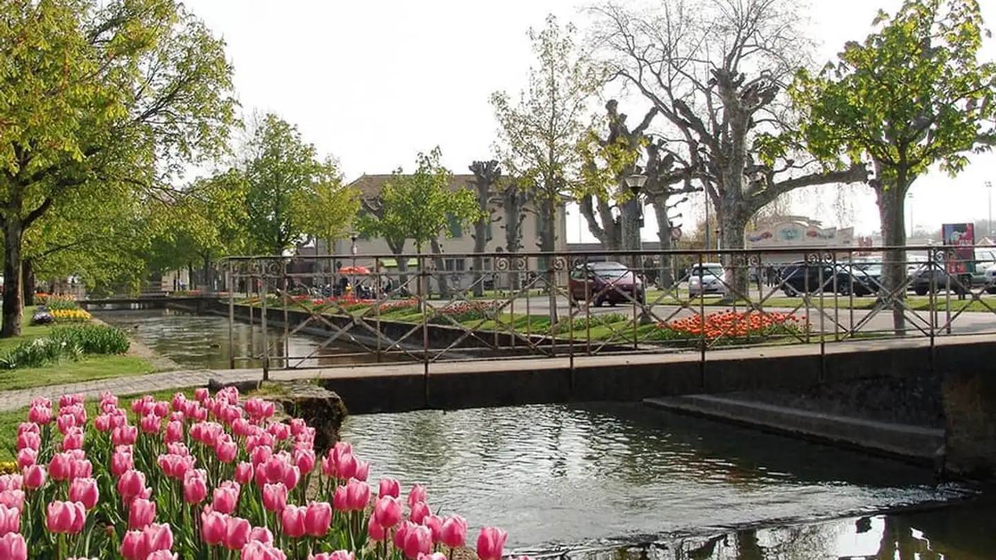 Wohnung kaufen - 1110 Morges - Foto 3