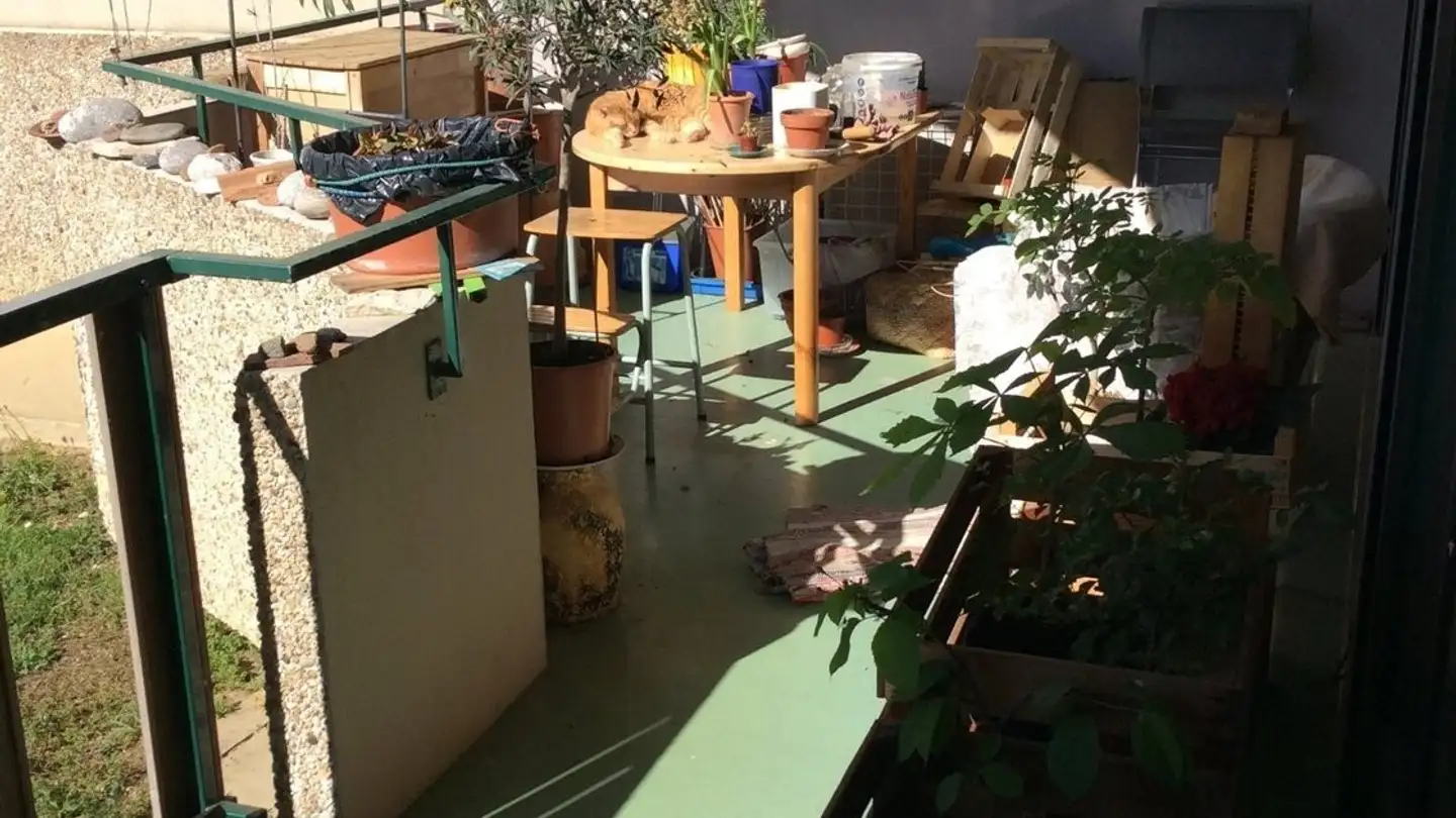 Apartment for rent - Chemin De Pont-Céard 7, 1290 Versoix - Photo 2