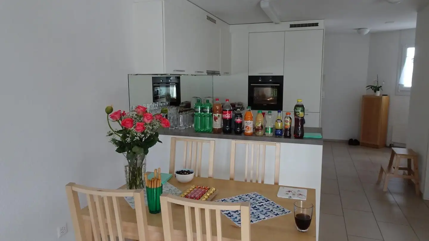 Appartement à louer - Sonnenbergstrasse 51, 5408 Ennetbaden