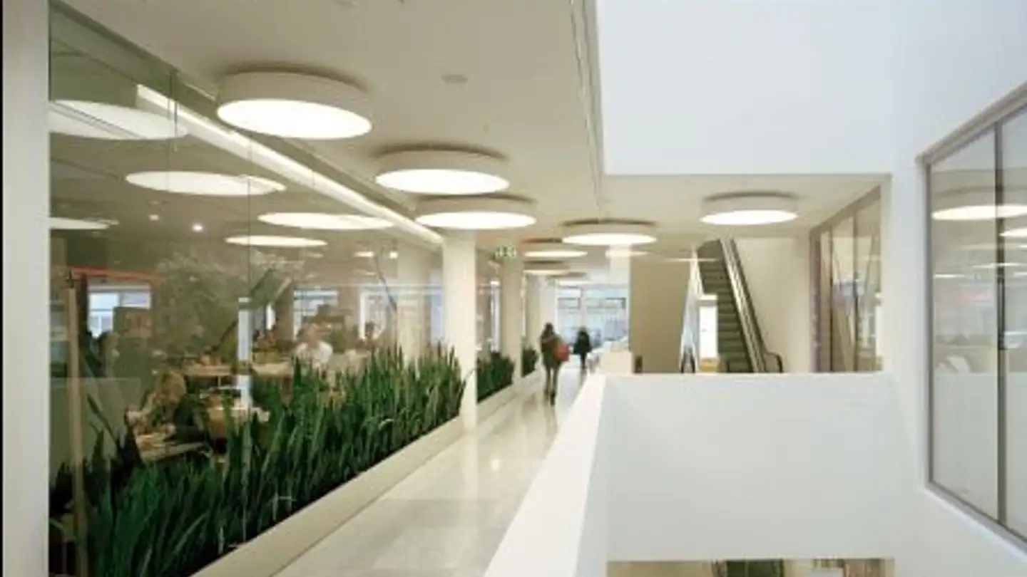 Gewerbe mieten - Sternengasse 19, 4051 Basel - Foto 2