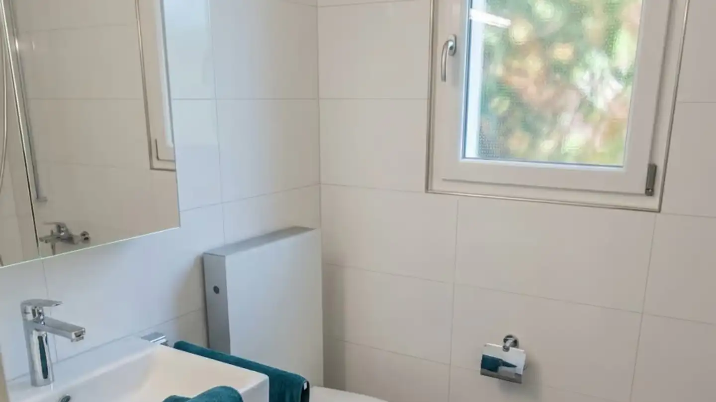 Studio for rent - 5200 Brugg AG - Photo 3