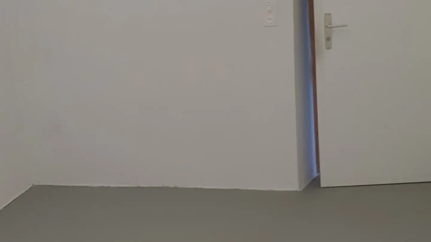 Commerciale in affitto - Hauptstrasse 2, 4436 Oberdorf BL - Photo 3