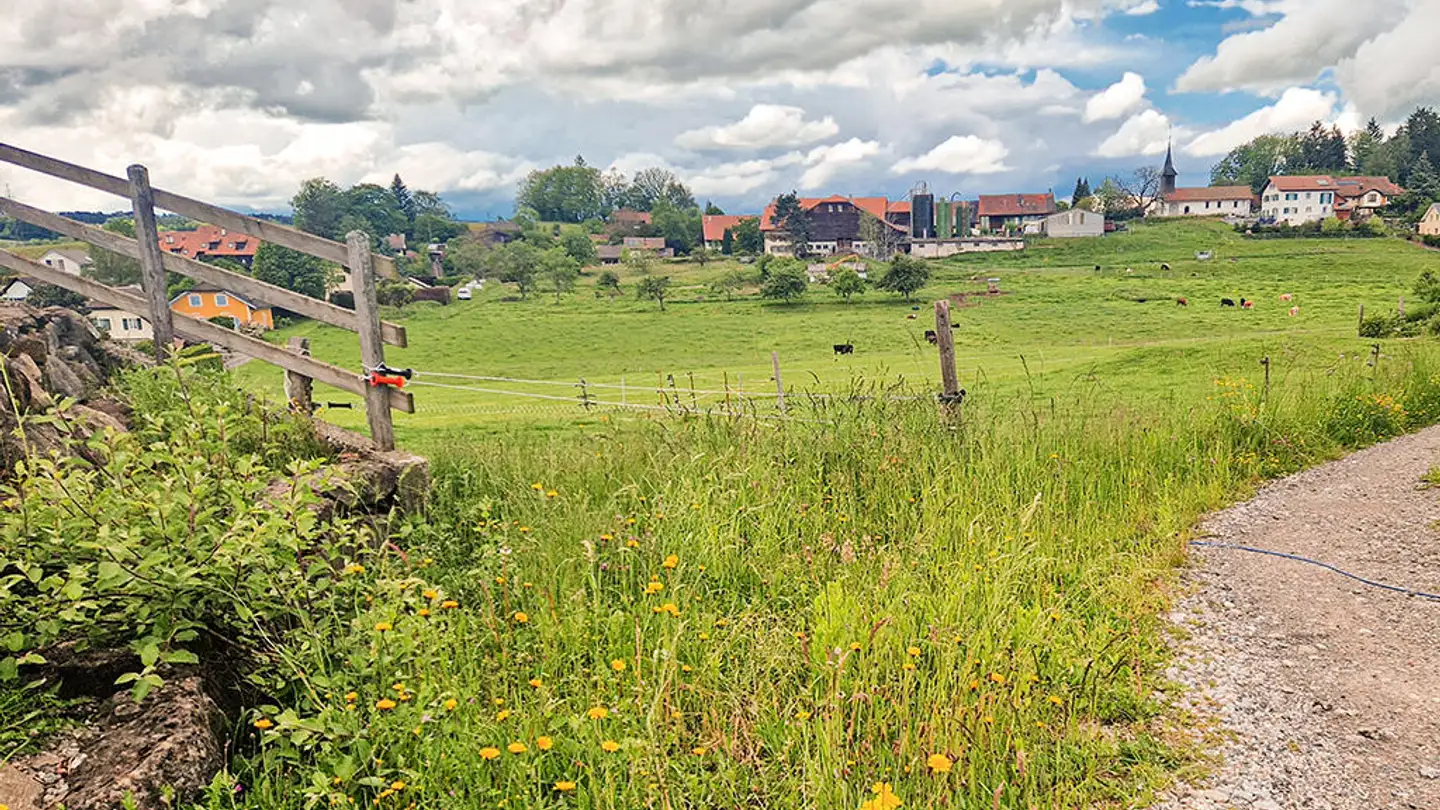 Wohnung kaufen - 1077 Servion - Foto 2