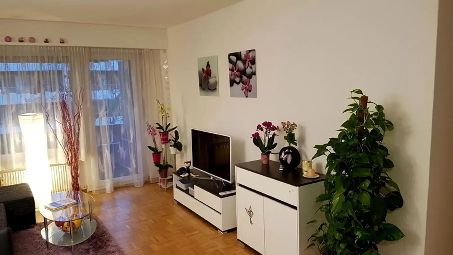 Appartement meublé à louer - 2557 Studen BE