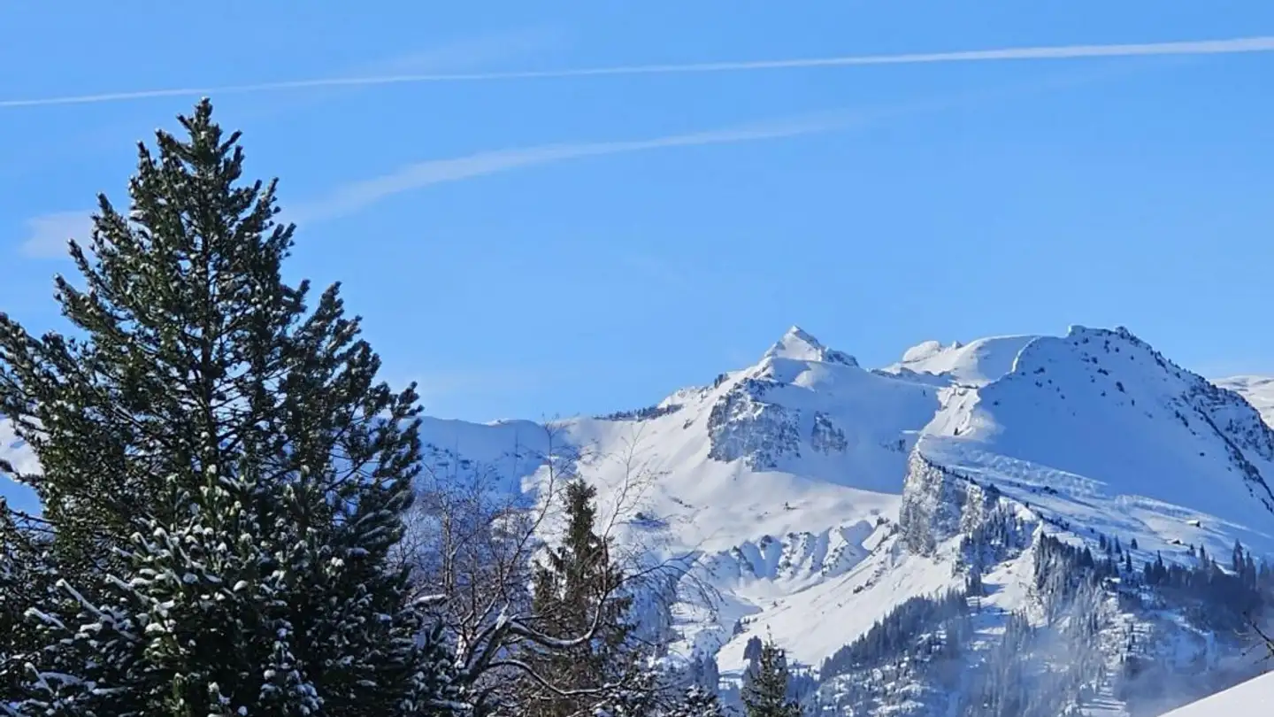 Appartamento in vendita - 8873 Amden