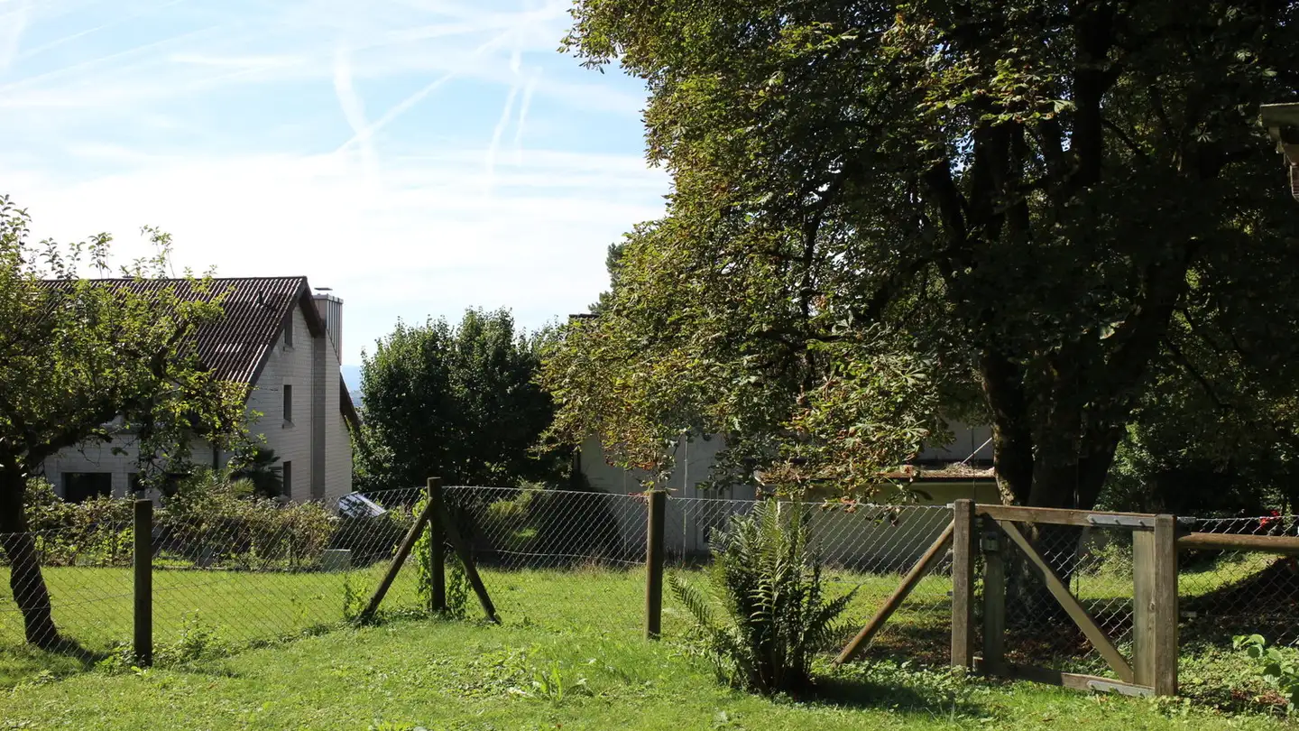 Casa singola in affitto - Steinligweg 15, 8303 Bassersdorf - Photo 2