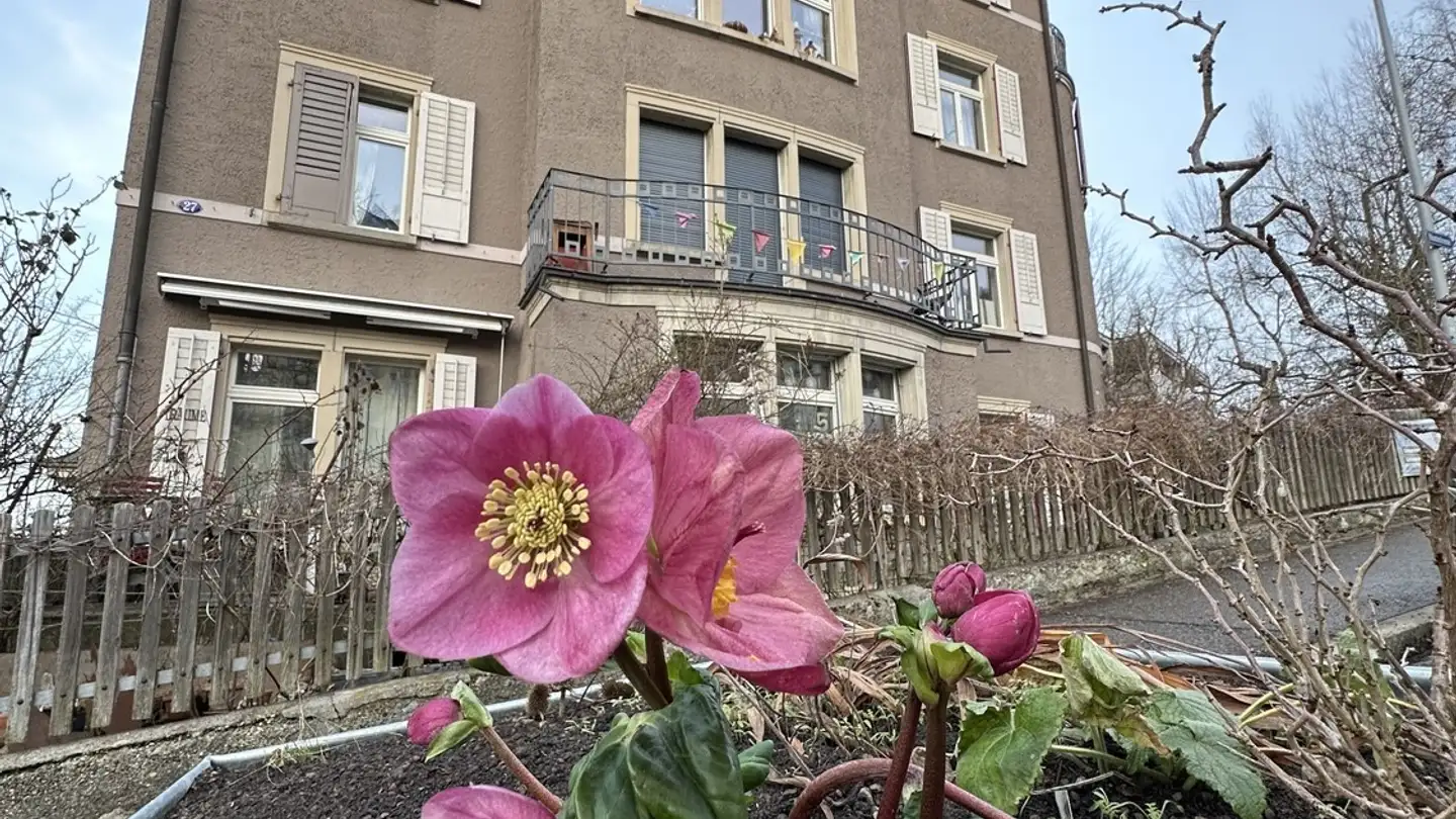 Apartment for rent - Röschstrasse 27, 9000 St. Gallen - Photo 2