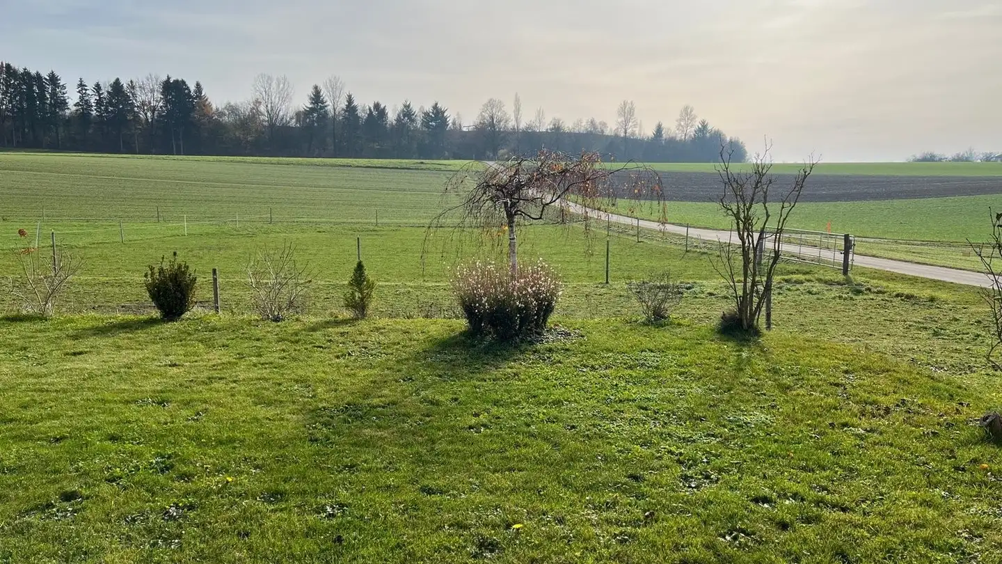 Appartamento in affitto - Hohbühlstrasse, 4536 Attiswil - Foto 2