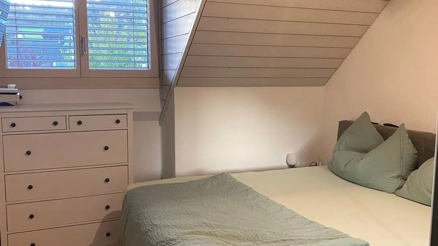 Appartamento in affitto - Austrasse 1, 9116 Wolfertswil - Foto 4