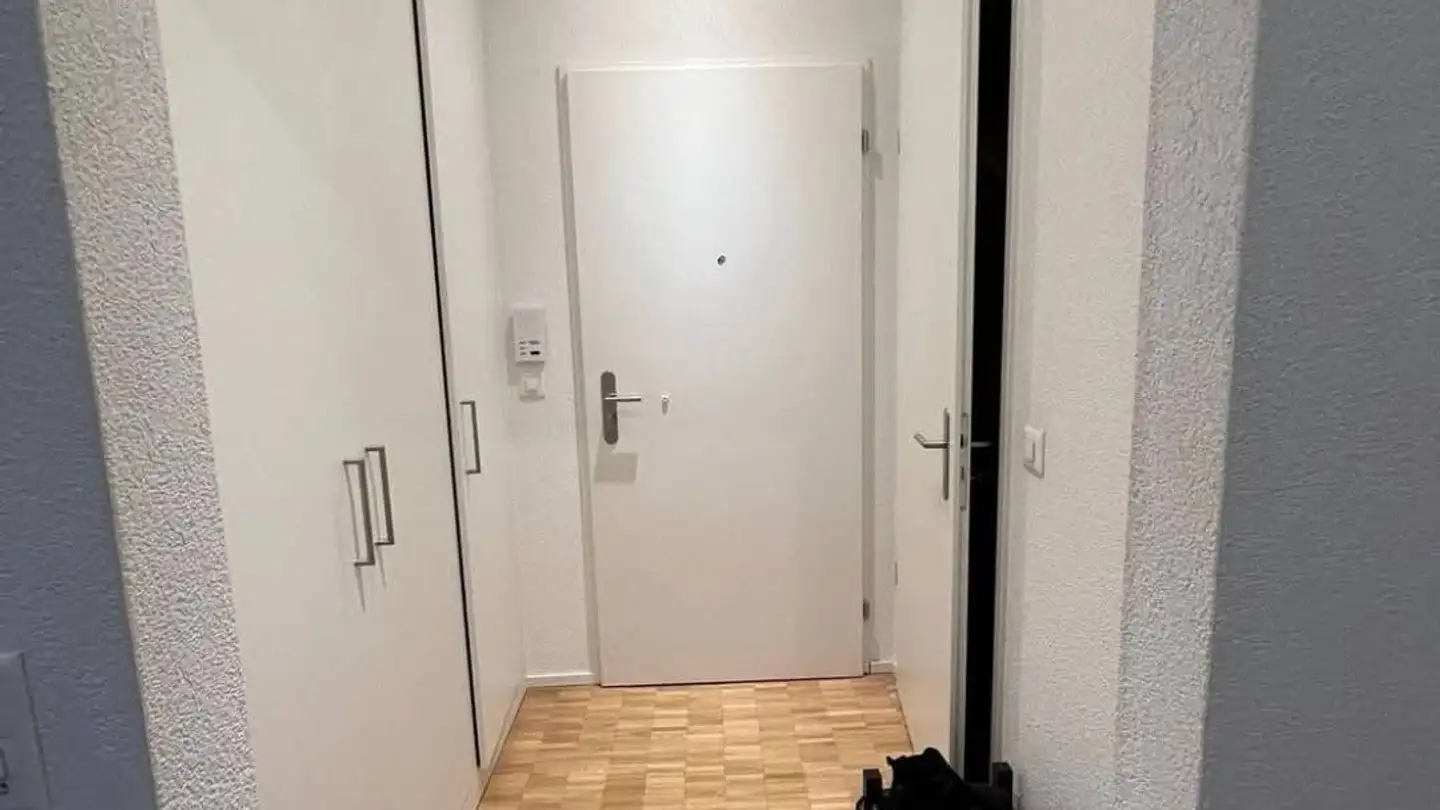 Apartment for rent - Flüelastrasse, 8047 Zürich - Photo 4