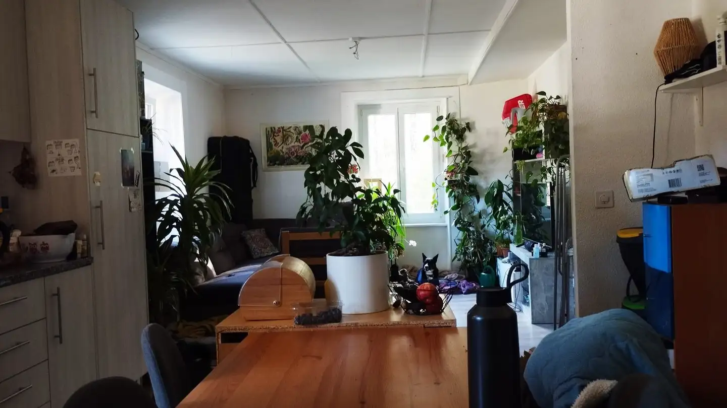 Appartement à louer - Rue Du Temple, 2103 Noiraigue - Photo 2