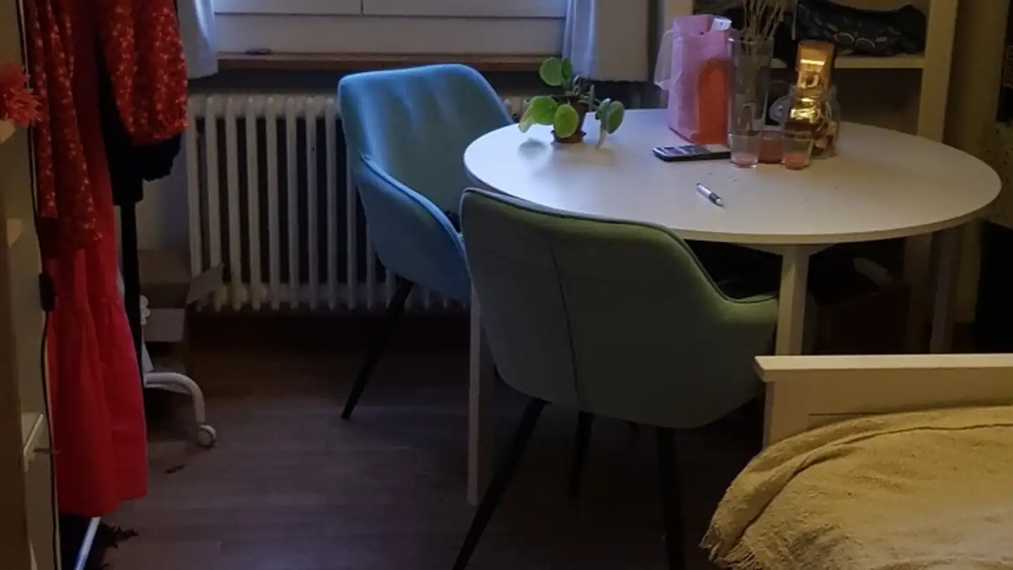 Single room for rent - 8050 Zürich