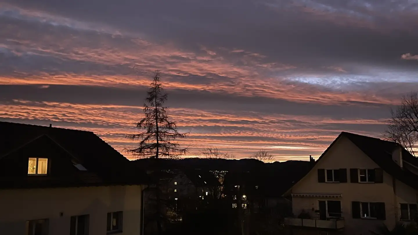 Single room for rent - 8707 Uetikon am See - Photo 3