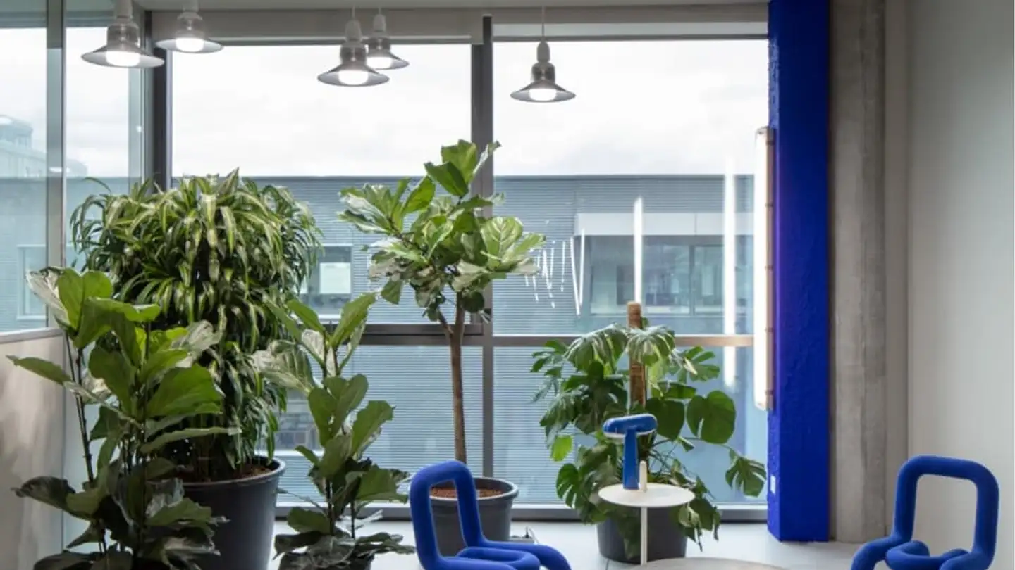 Commerciale in affitto - 1228 Plan-les-Ouates - Foto 4