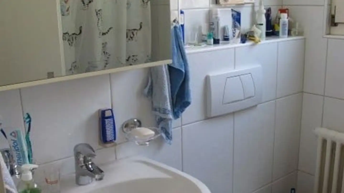 Apartment for rent - Im Geissacker 67, 8404 Winterthur - Photo 4