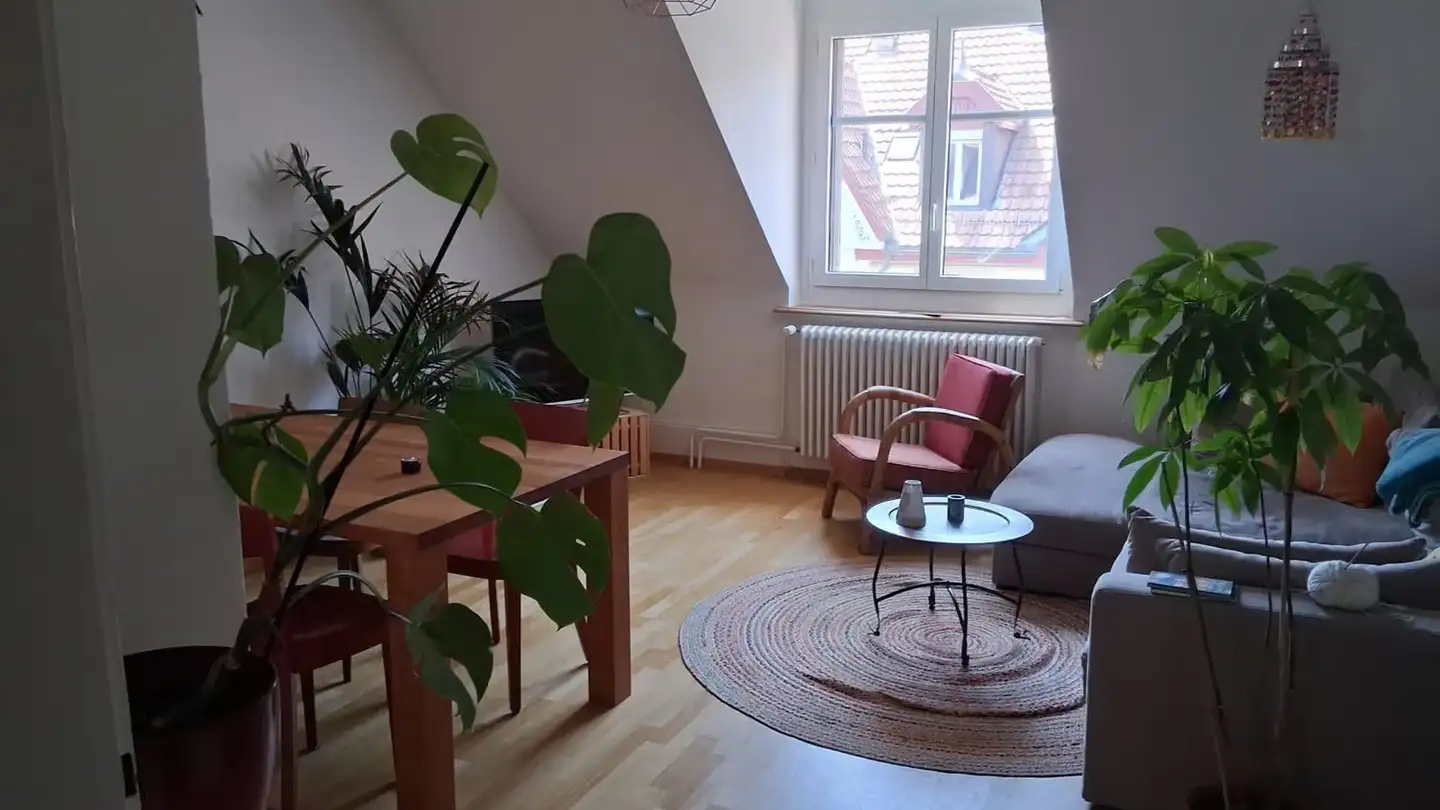 Appartamento in affitto - 3012 Bern