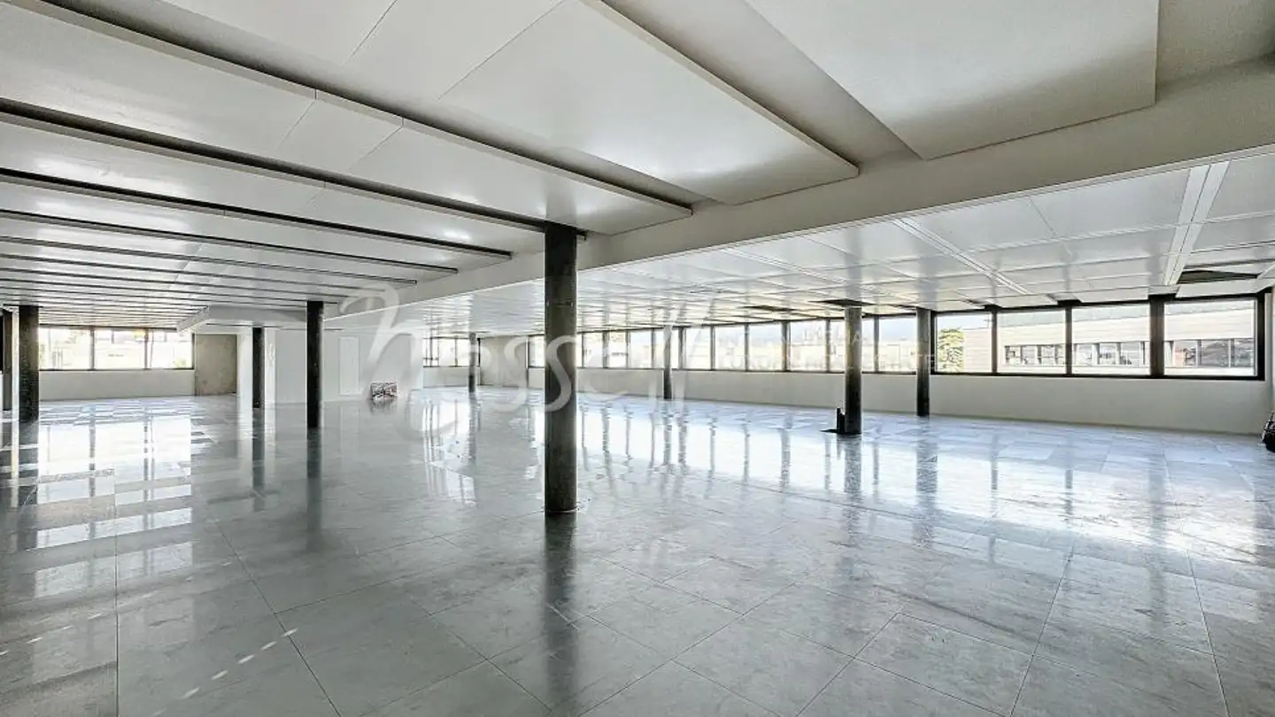 Spazio ufficio in affitto - 1214 Vernier