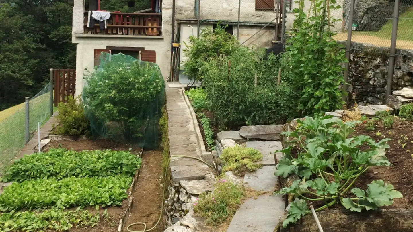 Casa singola in vendita - 6657 Palagnedra - Photo 4