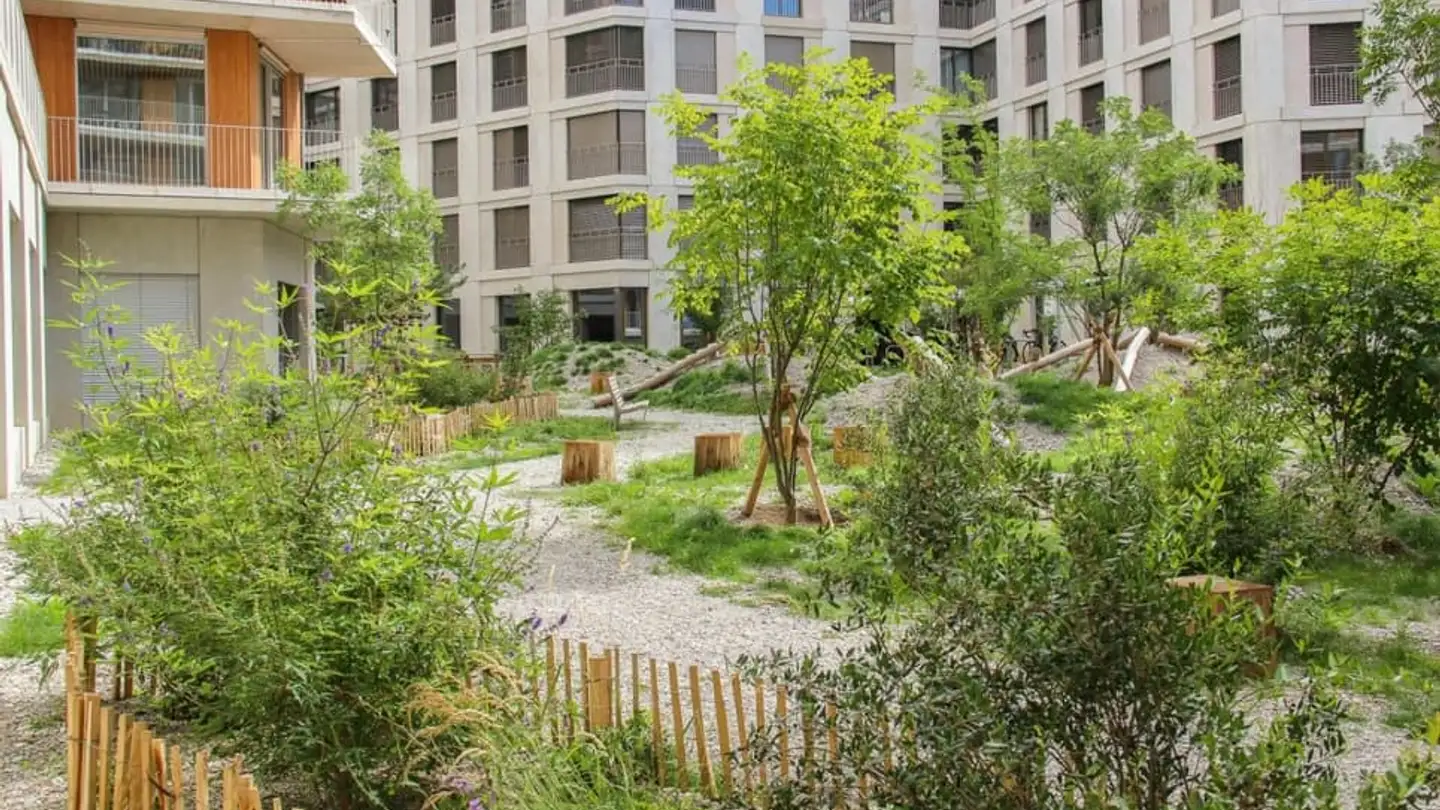 Commercial à louer - Route Des Plaines-Du-Loup, 1018 Lausanne