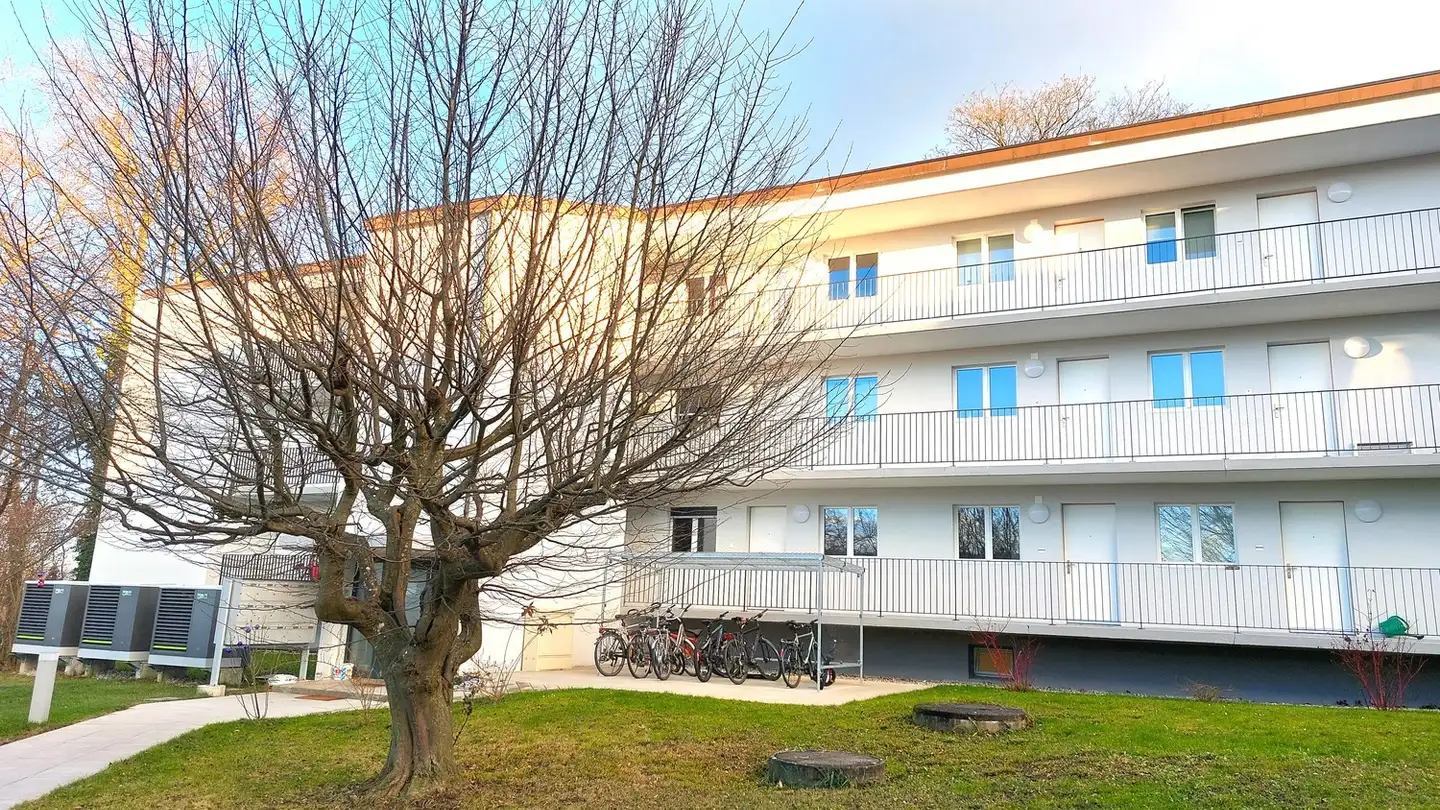 Apartment for rent - Zielackerstrasse 36, 8500 Frauenfeld - Photo 2