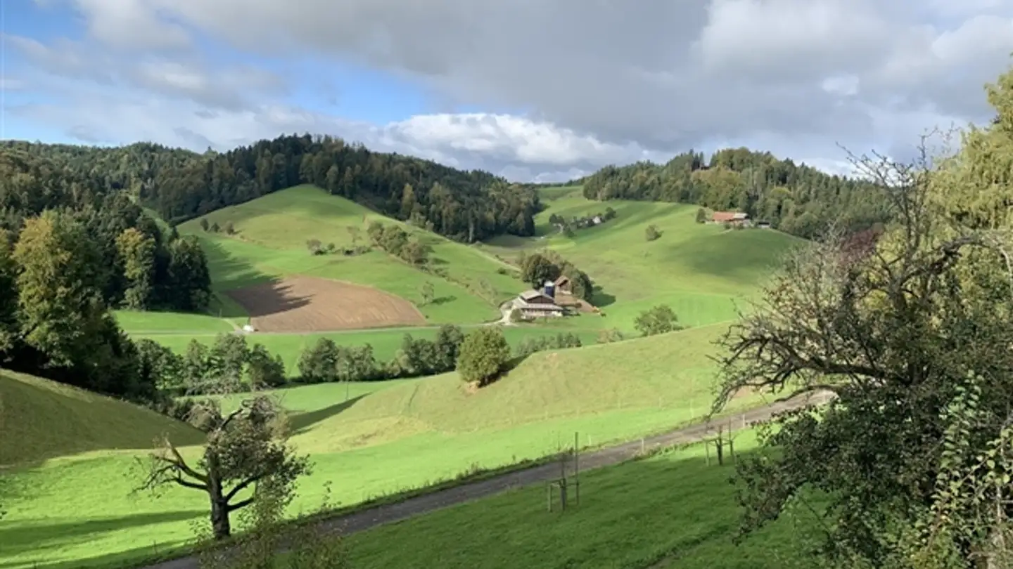 Wohnung mieten - 6260 Reiden