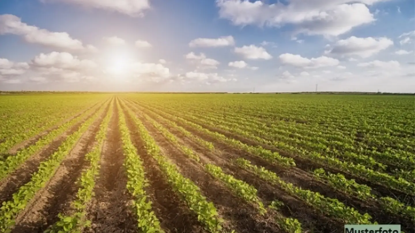 Property for sale - 6938 Vezio