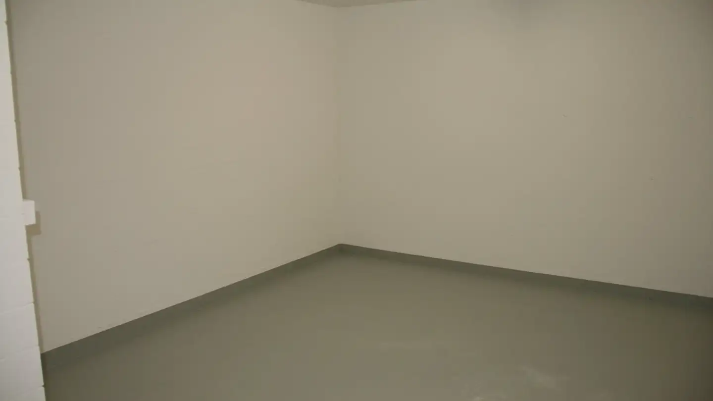 Sala hobby in affitto - Zürichstrasse 227, 8122 Binz - Foto 3