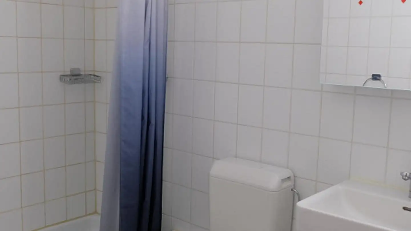 Appartement à louer - Delsbergerallee 70, 4053 Basel - Photo 4
