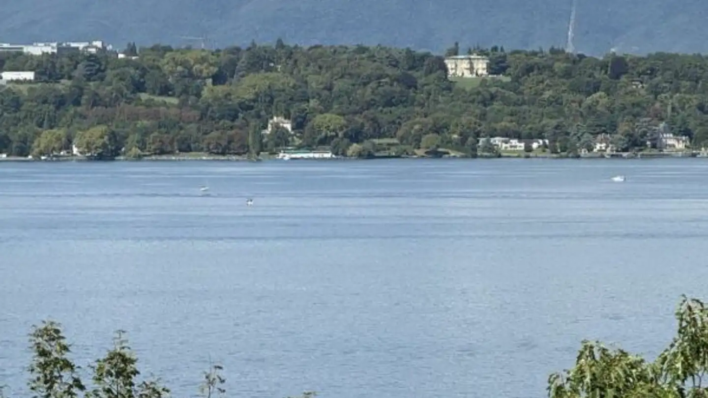 Wohnung kaufen - 1223 Cologny