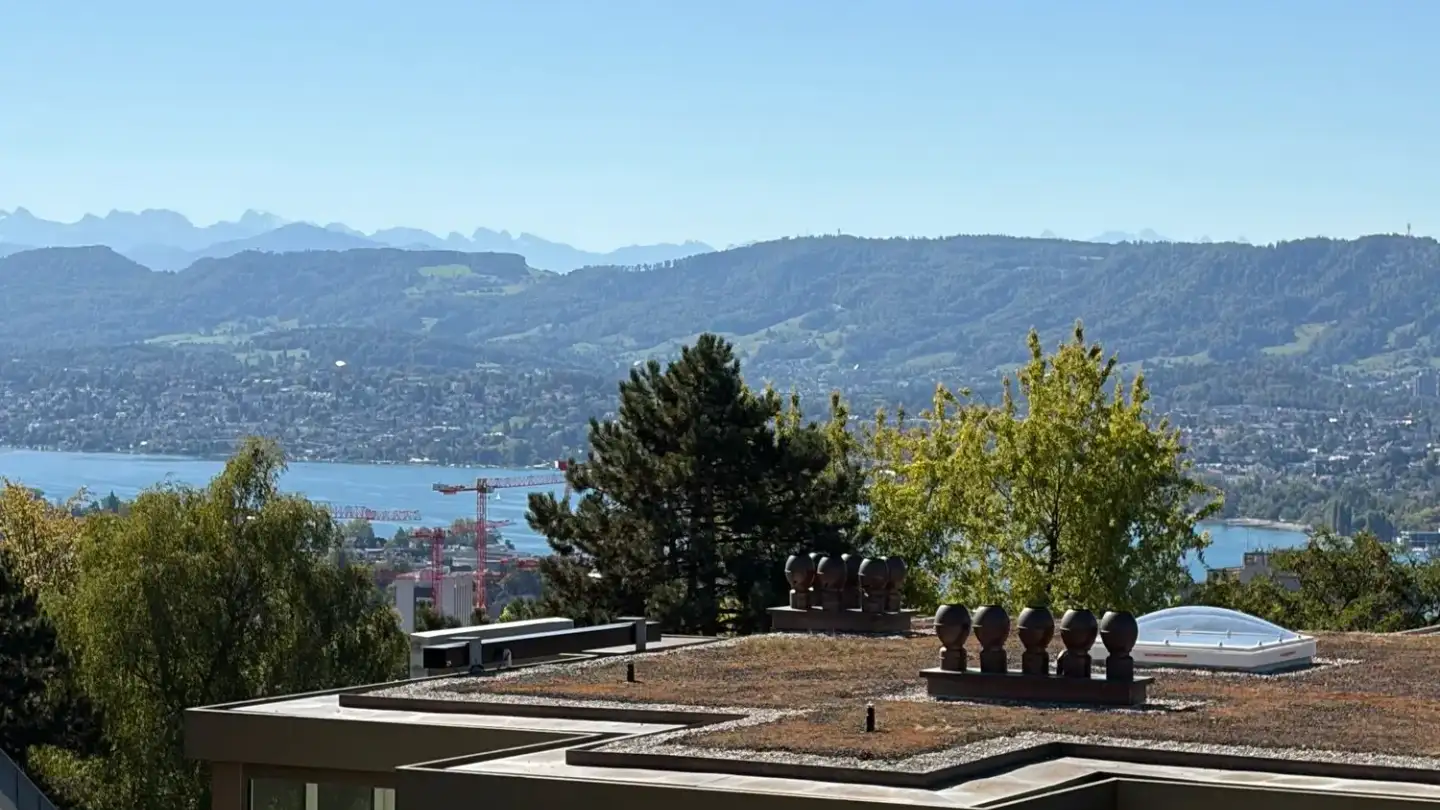 Penthouse for rent - Restelbergstrasse 86, 8044 Zürich - Photo 3