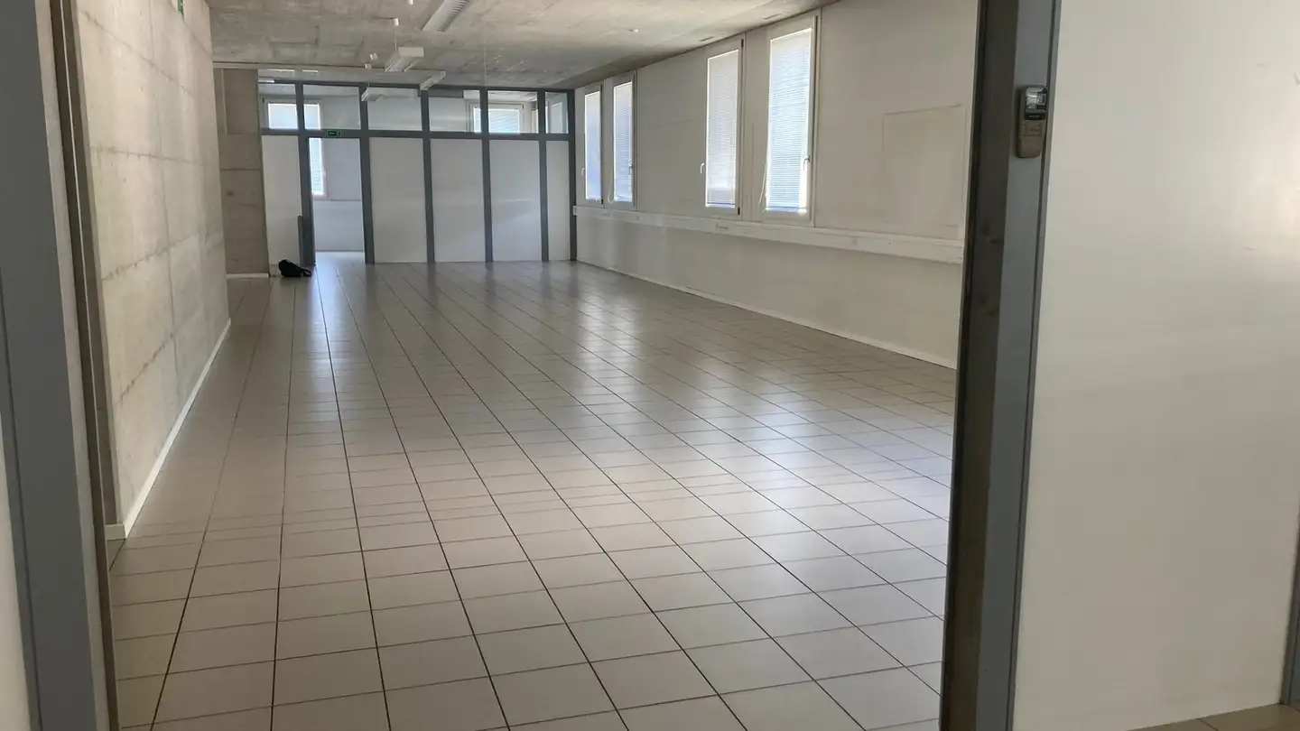 Office space for rent - Via Cantonale 60, 6805 Mezzovico - Photo 2